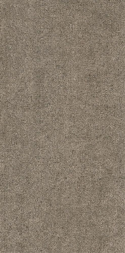 AP36041