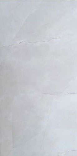 R366605