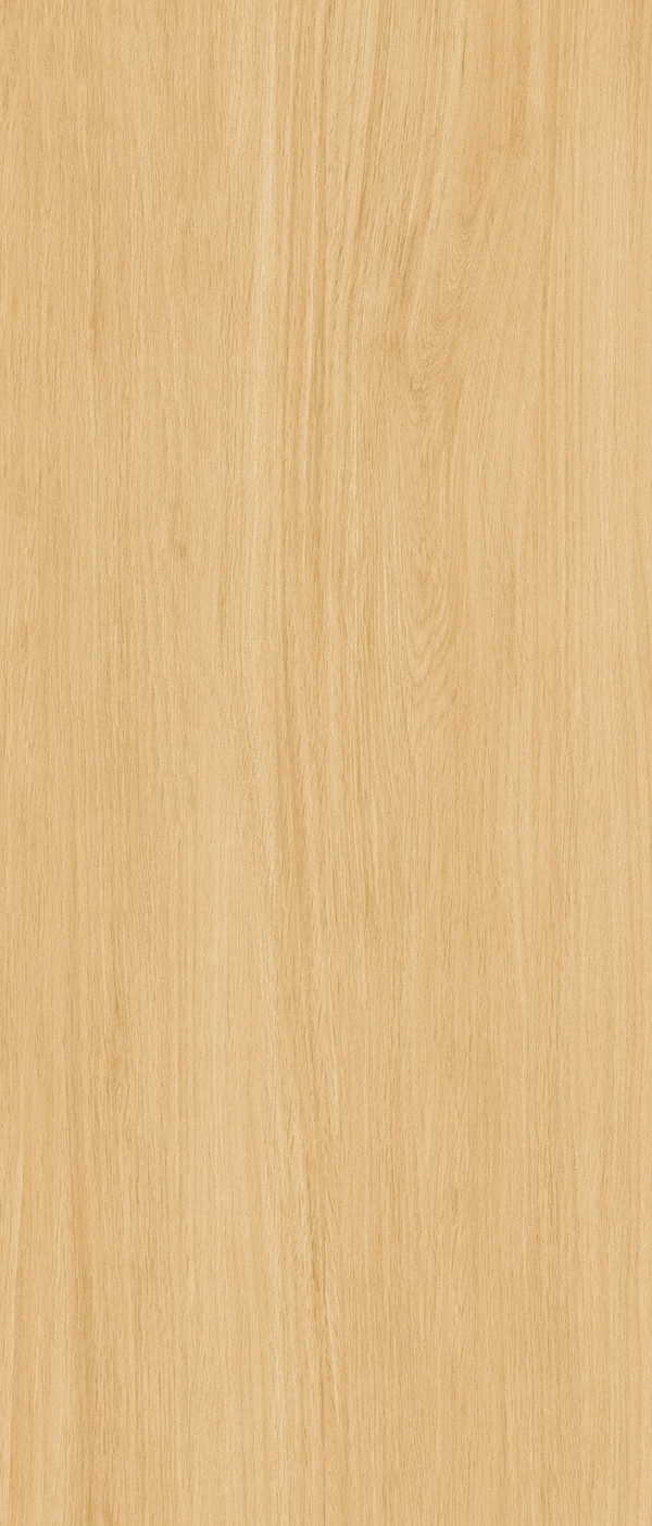 H61231