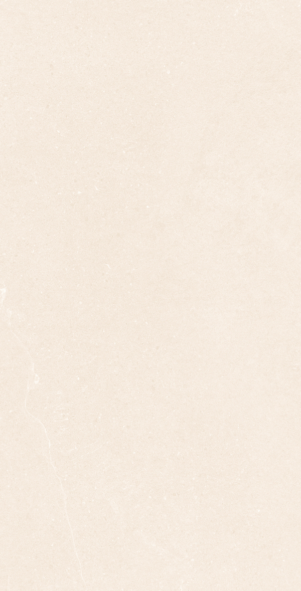 H612R919